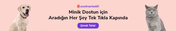 Evcil Marketim